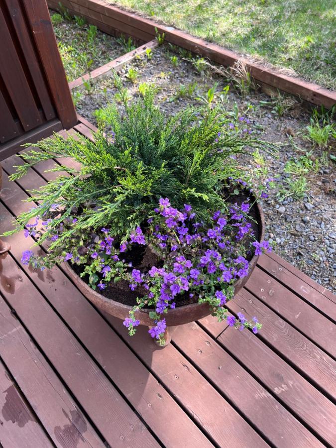 Summerhouse Vaglaskogur 아퀴레이리 외부 사진